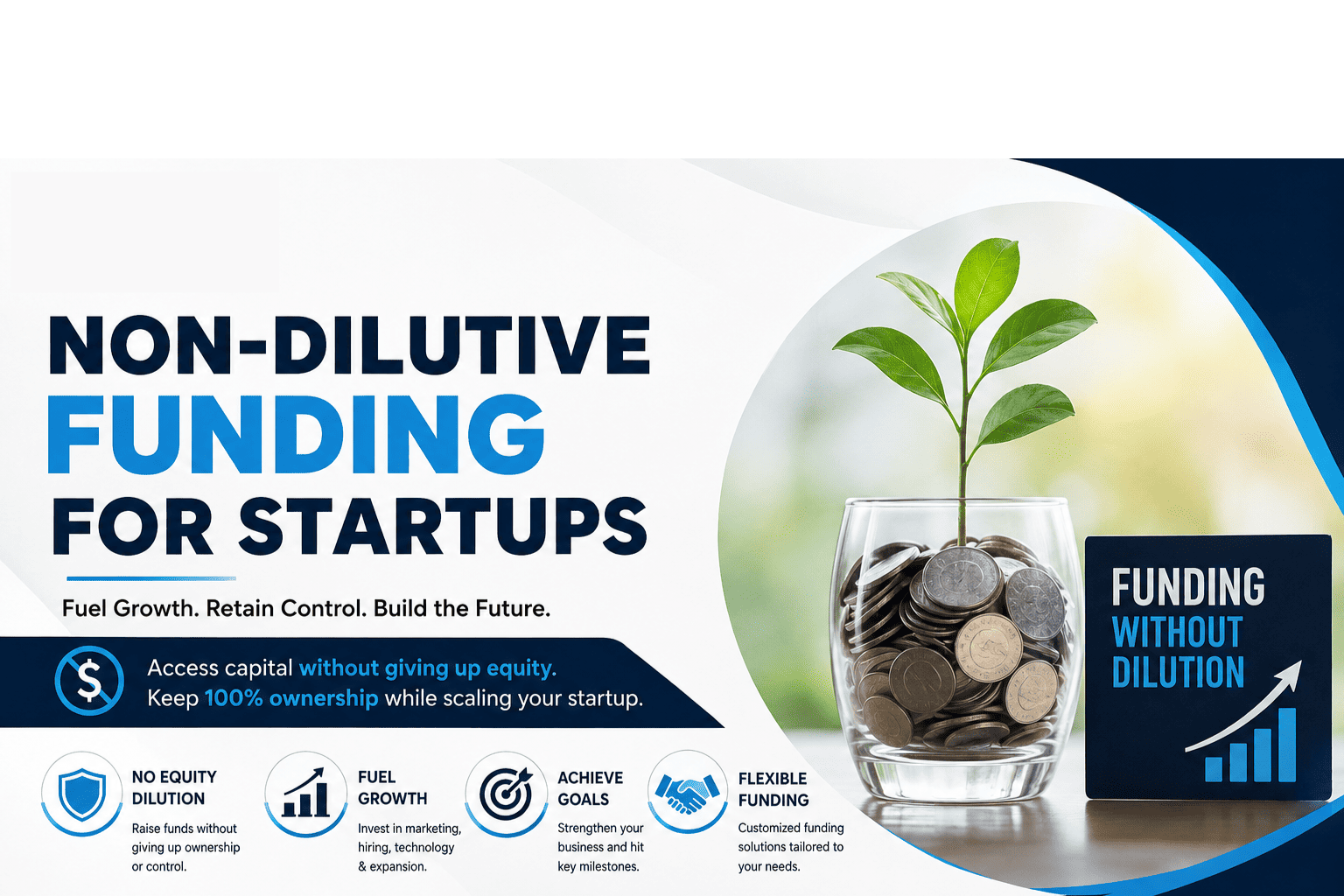 Grow Faster with Non-Dilutive Funding for Startups Solutions