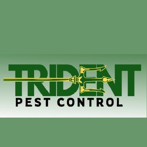 Trident Pest Control