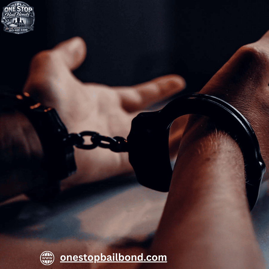 One Stop Bail Bonds – Tampa Bail Bond Services