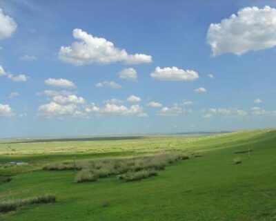 images-2