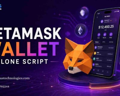 metamask-wallet-clone-script