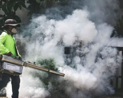 mosquito-control-service