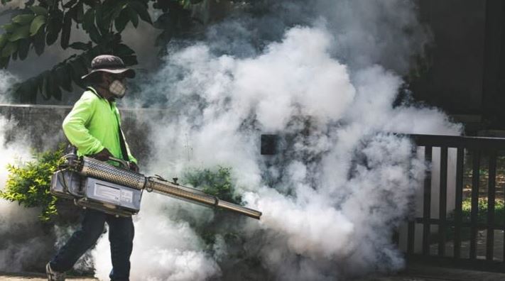 Mosquito Control Service