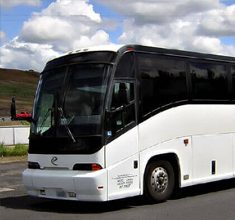 nycpartybusrental18