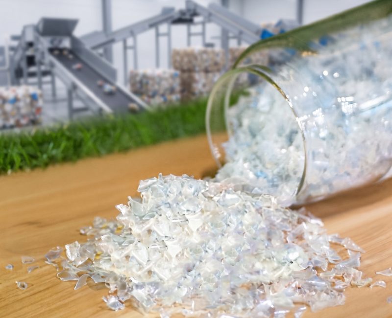 Pioneer rPET Flakes Exporter in India