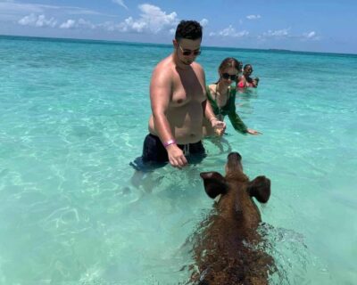 swimming-with-pigs-in-bahamas