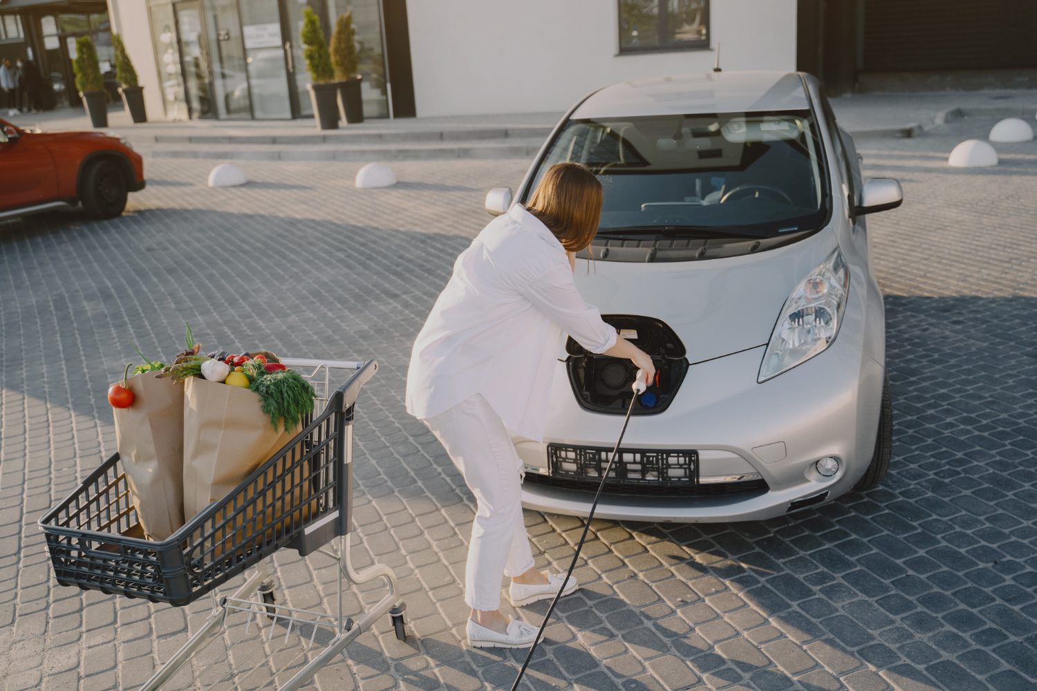 Electric Mobility Solutions Provider in India | GPP