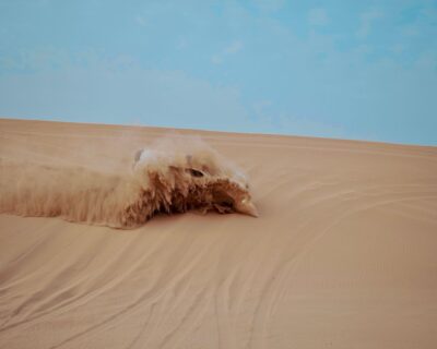 Dune-Bashing