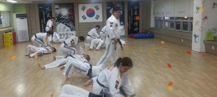 Discover Adult Martial Arts in Sault Ste. Marie | Soo Dan Hap-Ki-Do
