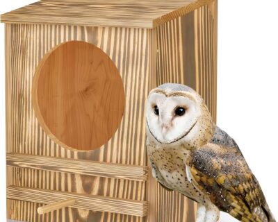 barn-owl-nesting-box