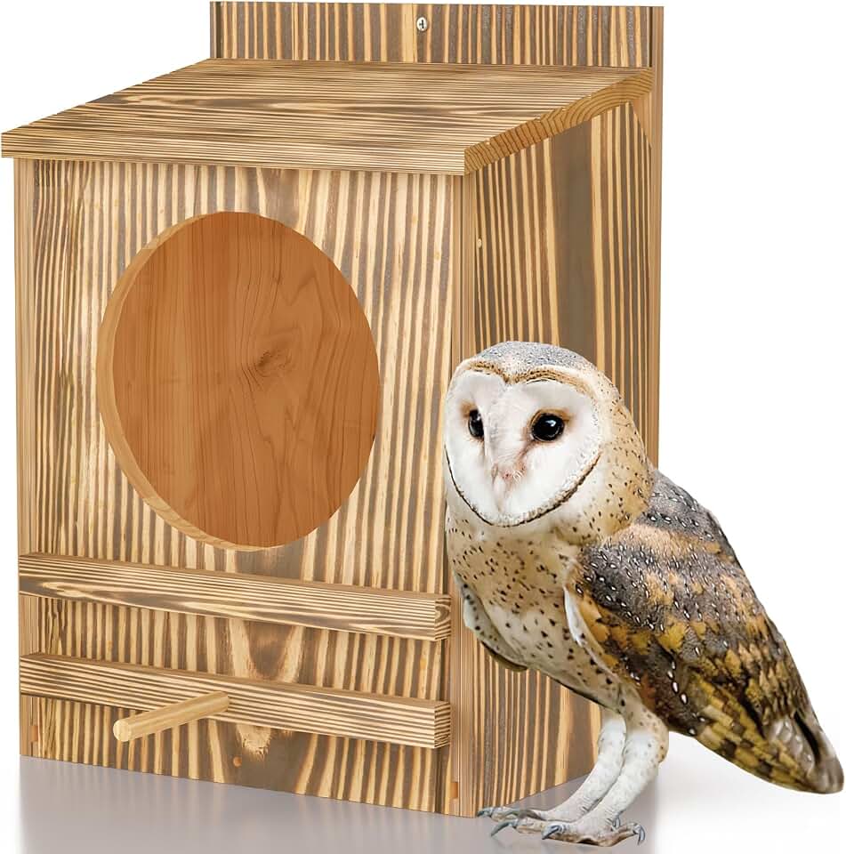 Promote Natural Pest Control on Farms With a Barn Owl Nesting Box