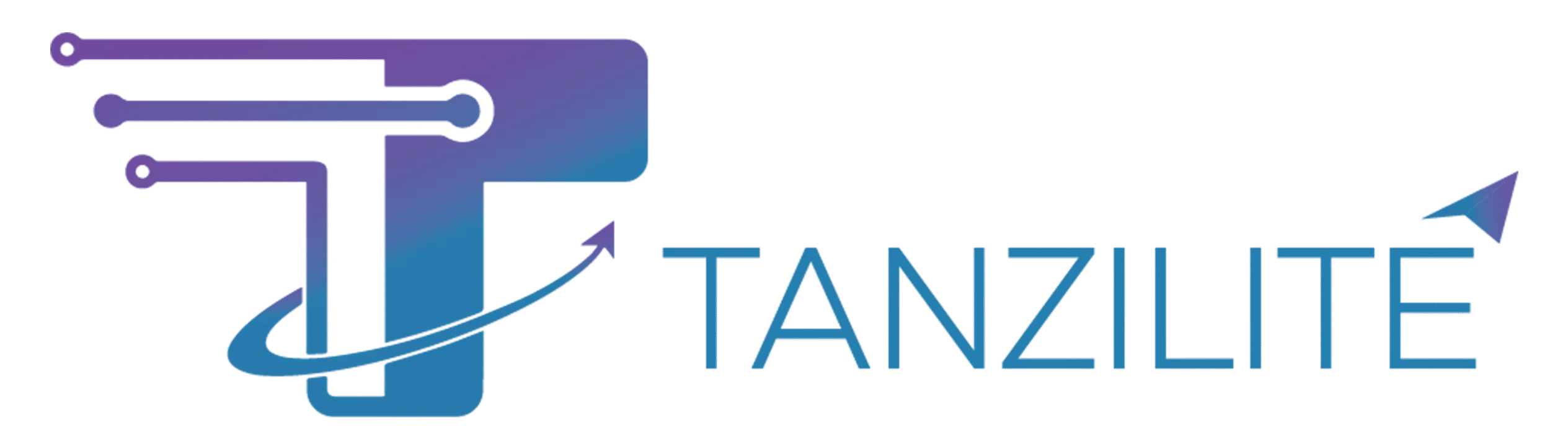Digital Marketing Agency in Lahore | SEO, Google Ads | Tanzilite
