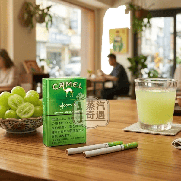 加熱菸二回機怎麼看？選購前先了解這些差異
