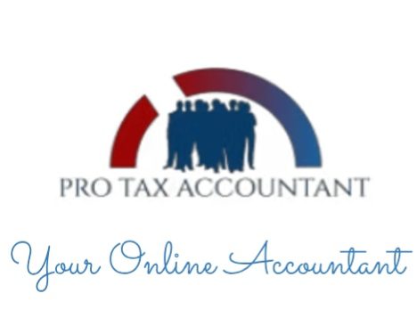 Pro Tax Accountant