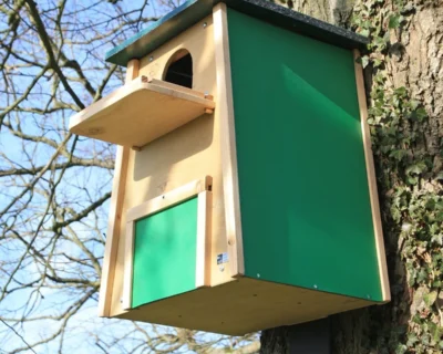 Barn_Owl_Nest_Box_Wildlife_World_v2_1200x1200