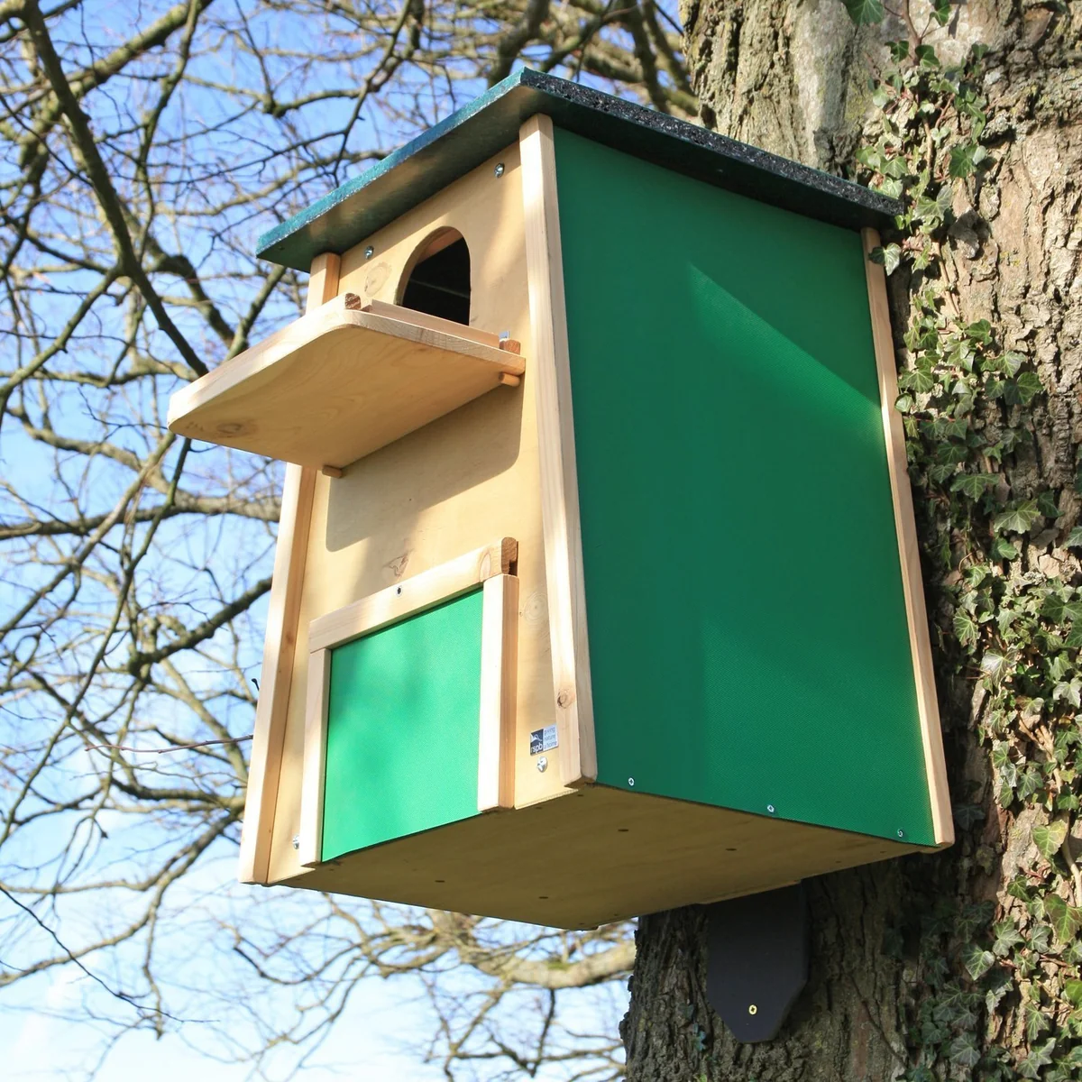 Durable Nesting Options With An Owl Box For Barn Owl
