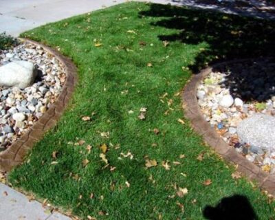 Bytendroplandscaping.jpg3_