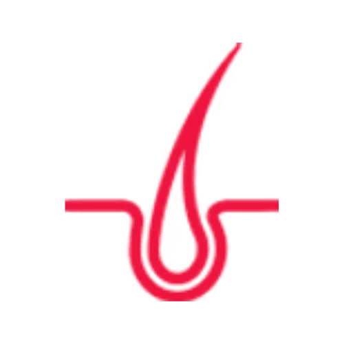 Medical Hair Loss Center NJ