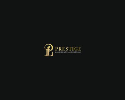 Proyecto-nuevo-1