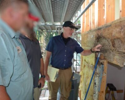 Termite-Damage-Expert-South-Carolina