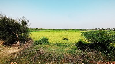 best-land-investment-in-chennai