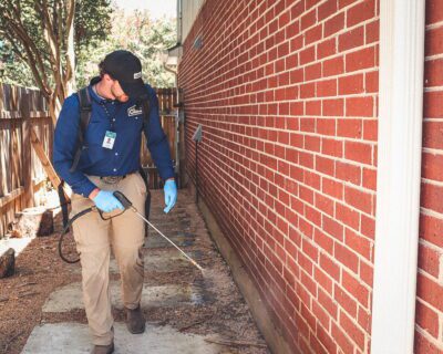 blackwater-pest-control-1