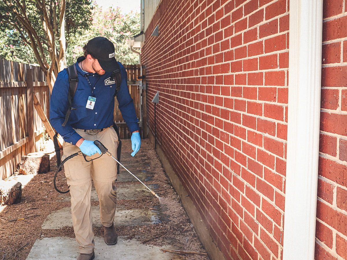 Professional Pest And Property Guidance For Blackwater Pest Control