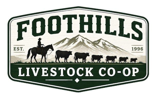 Cattle Producer Financing Solutions for Alberta Farms