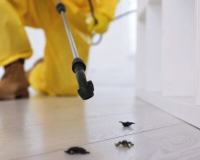 insect-control